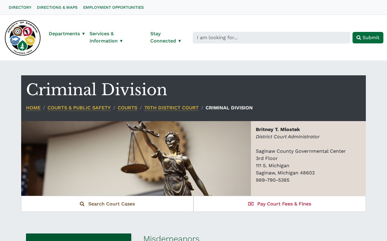 Saginaw County District Criminal Division page with arrest warrant bond rules